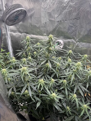 Growreport Bild 24