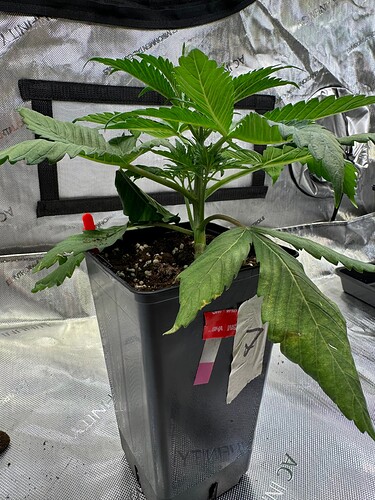 Growreport Bild 27