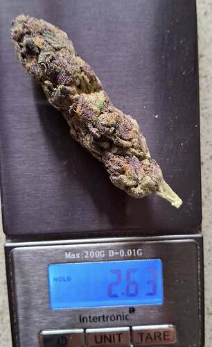 Growreport Bild 43