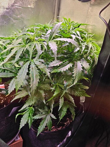 Growreport Bild 13