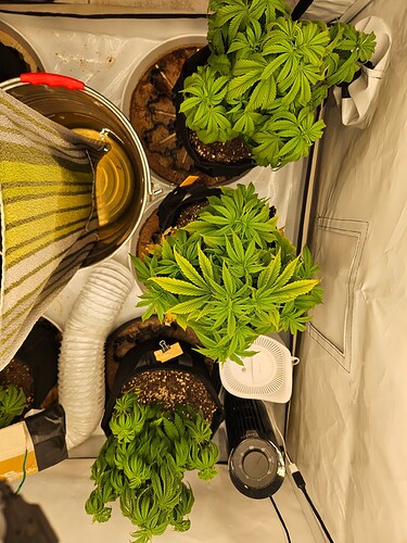 Growreport Bild 12