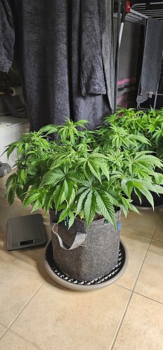 Growreport Bild 18