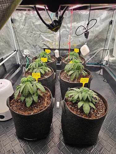 Growreport Bild 9