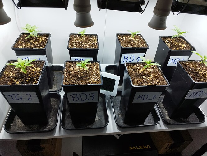 Growreport Bild 2