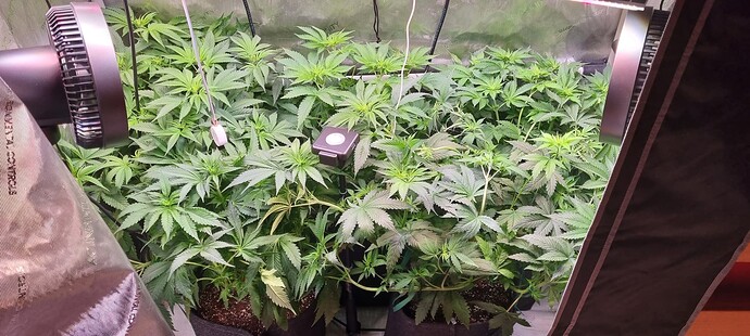 Growreport Bild 2