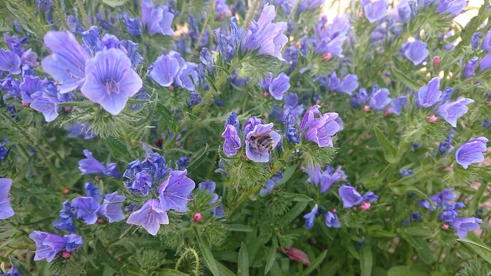 Growreport Bild 7