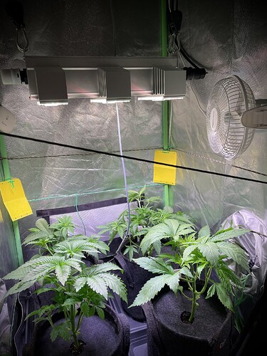 Growreport Bild 8