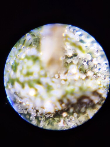 Growreport Bild 26