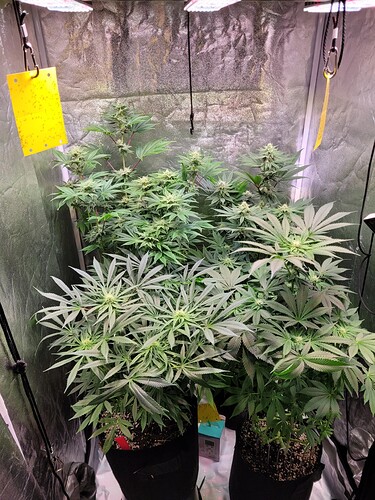 Growreport Bild 11