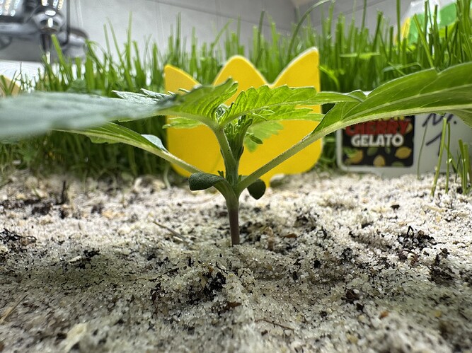 Growreport Bild 2