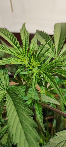Growreport Bild 10