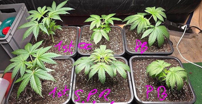 Growreport Bild 12