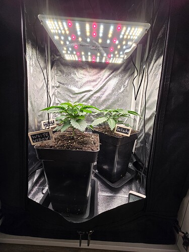 Growreport Bild 20