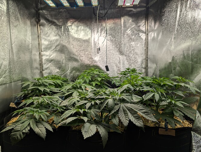 Growreport Bild 2