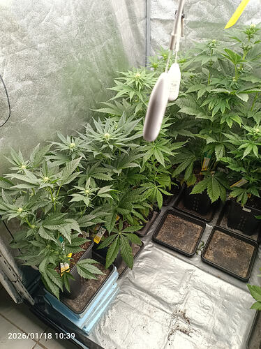 Growreport Bild 23