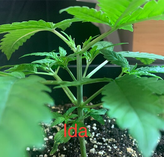 Growreport Bild 2