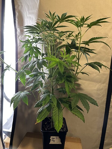Growreport Bild 15