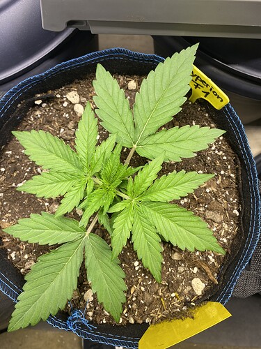Growreport Bild 30