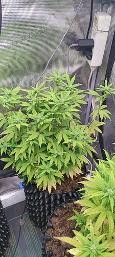 IMG_20251116_221059985_HDR