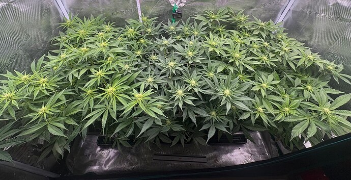 Foto 03.01.26, 06 30 47