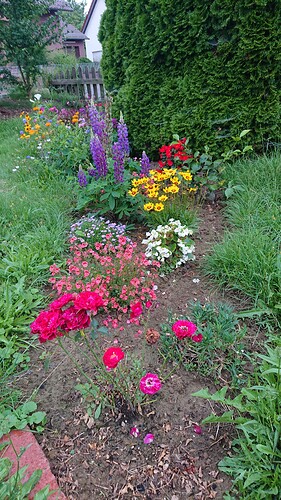 Growreport Bild 41