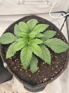 Growreport Bild 6