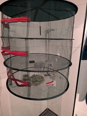 PXL_20250711_091406421