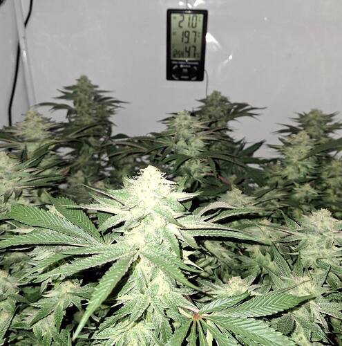 476619642_122166995180293599_6028783039904523255_n