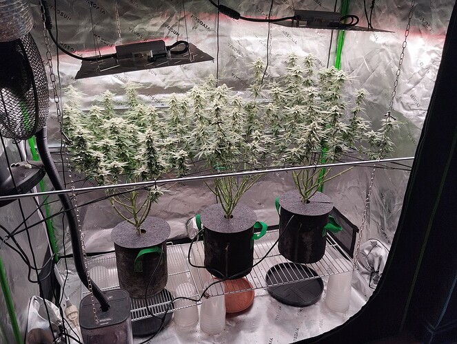 Growreport Bild 1