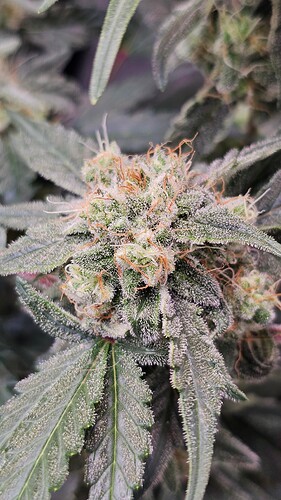Growreport Bild 24