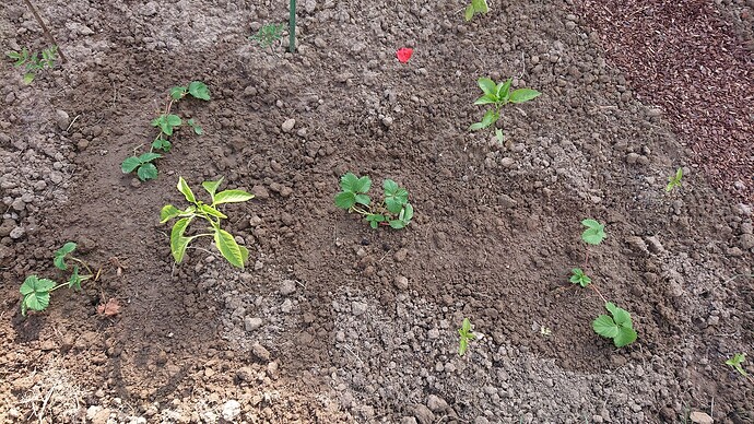 Growreport Bild 4