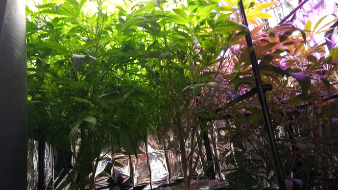 Growreport Bild 10