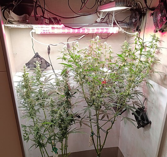 Growreport Bild 21