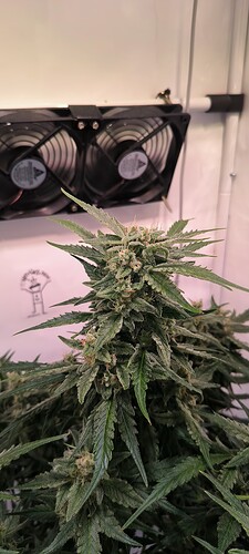 Growreport Bild 16