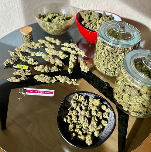 Growreport Bild 16