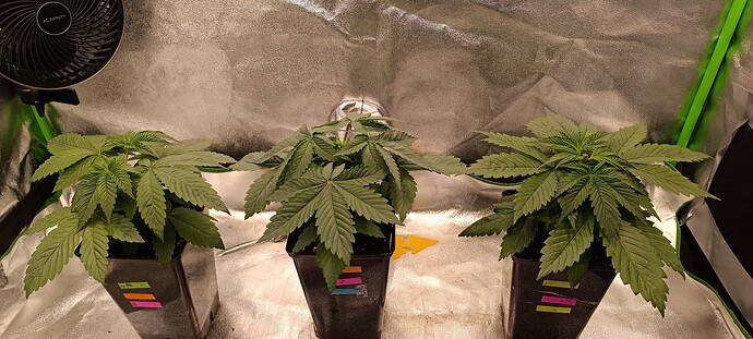 Growreport Bild 6
