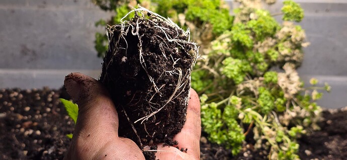 Growreport Bild 11