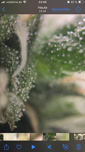 Growreport Bild 17