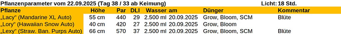 Growreport Bild 15