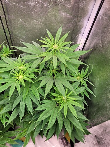 Growreport Bild 21