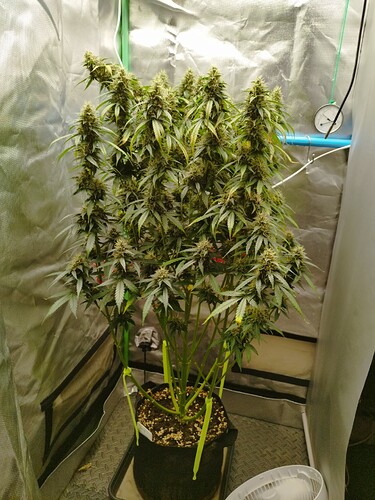 Growreport Bild 10