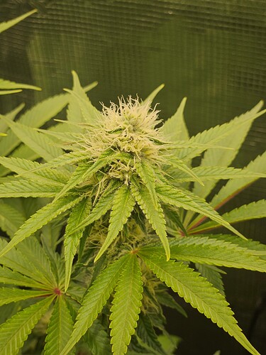 Growreport Bild 11