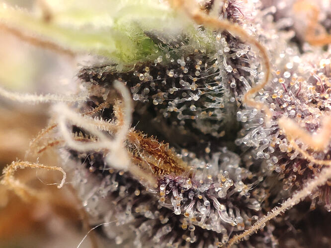 Growreport Bild 14