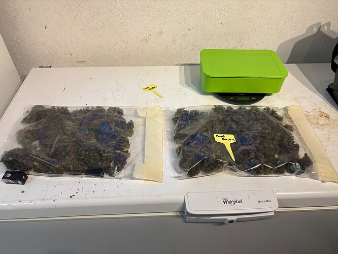 Growreport Bild 69
