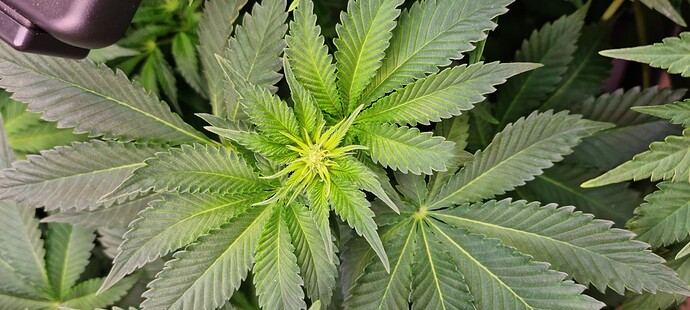 Growreport Bild 23