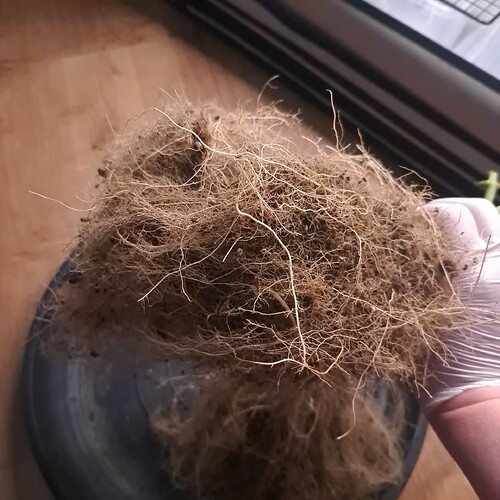 Growreport Bild 23