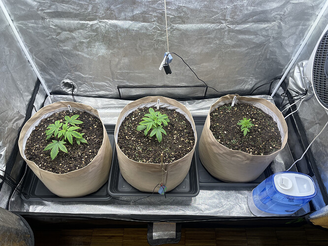 Growreport Bild 15