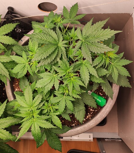 Growreport Bild 18
