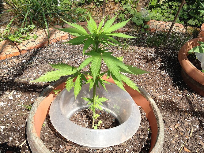 Growreport Bild 29