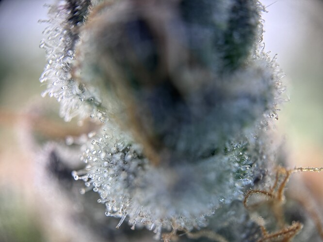 Growreport Bild 22